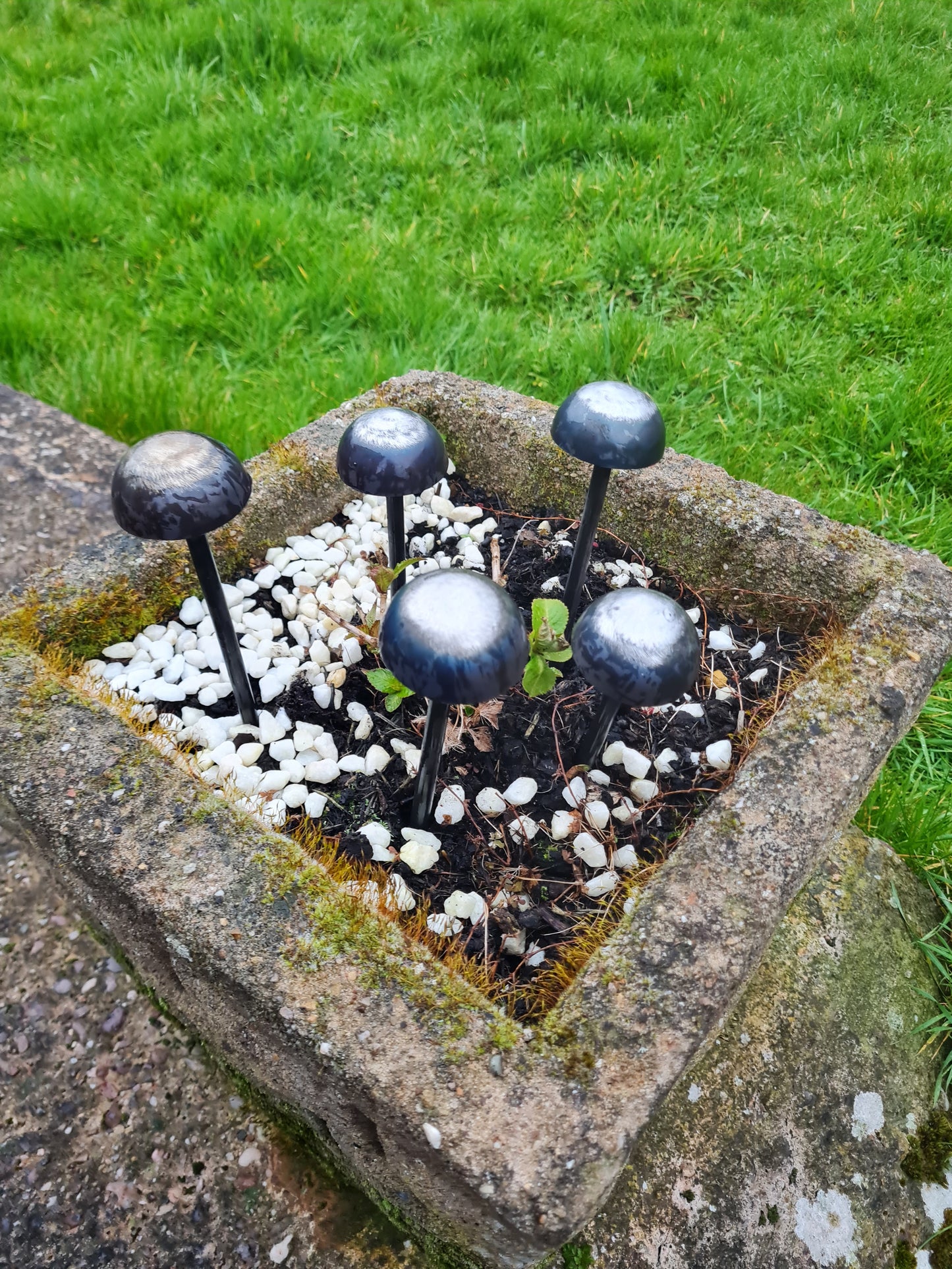 Rustic metal mushrooms set of 5