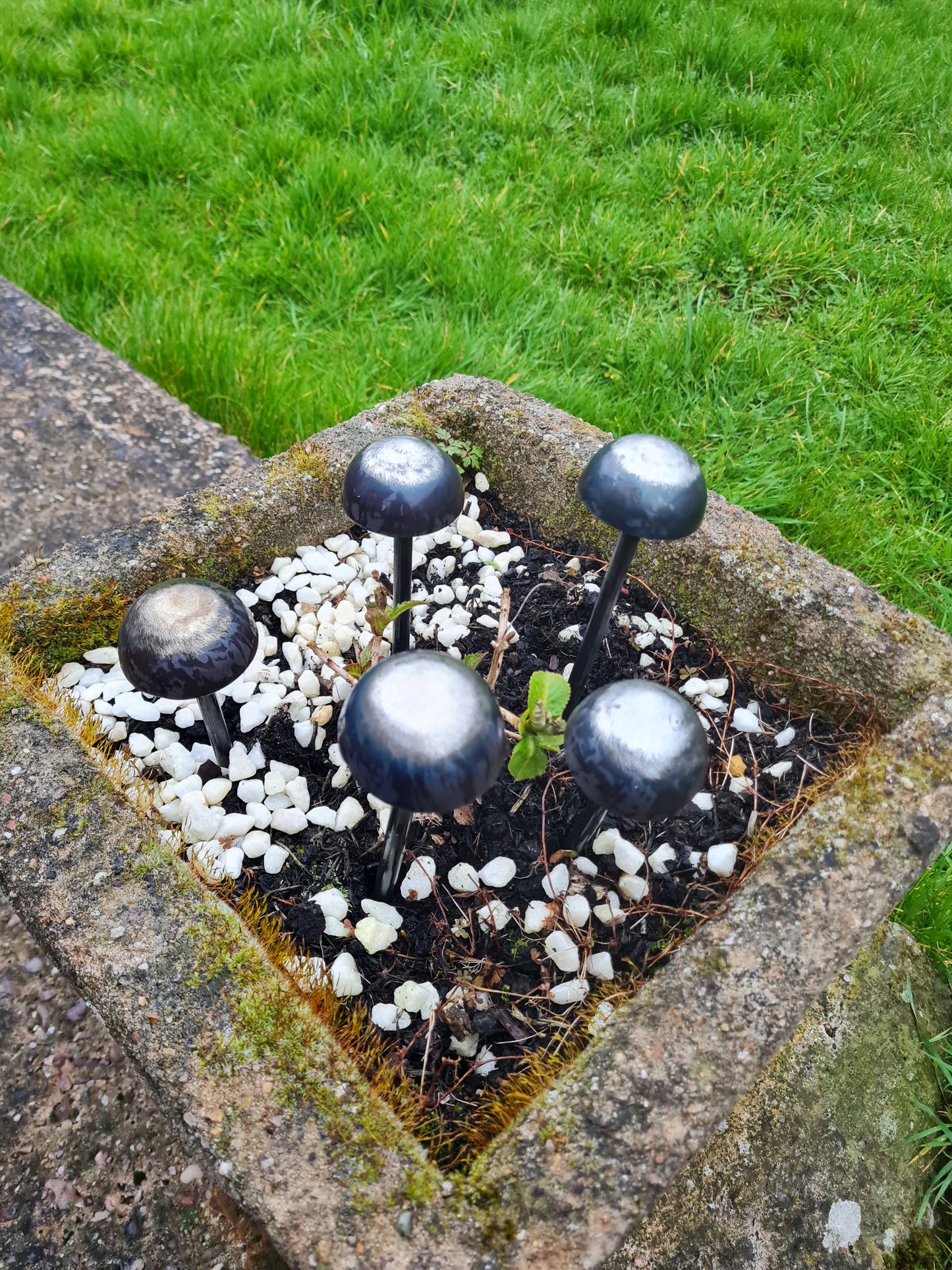 Rustic metal mushrooms set of 5