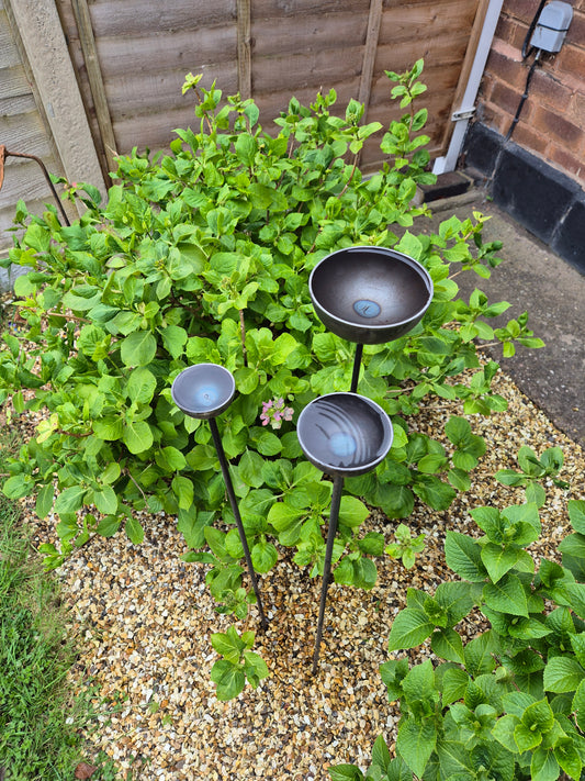 Rain Catcher Water Feature | Rusty Metal Garden Plant Support Ornament | Bird Feeder Bath