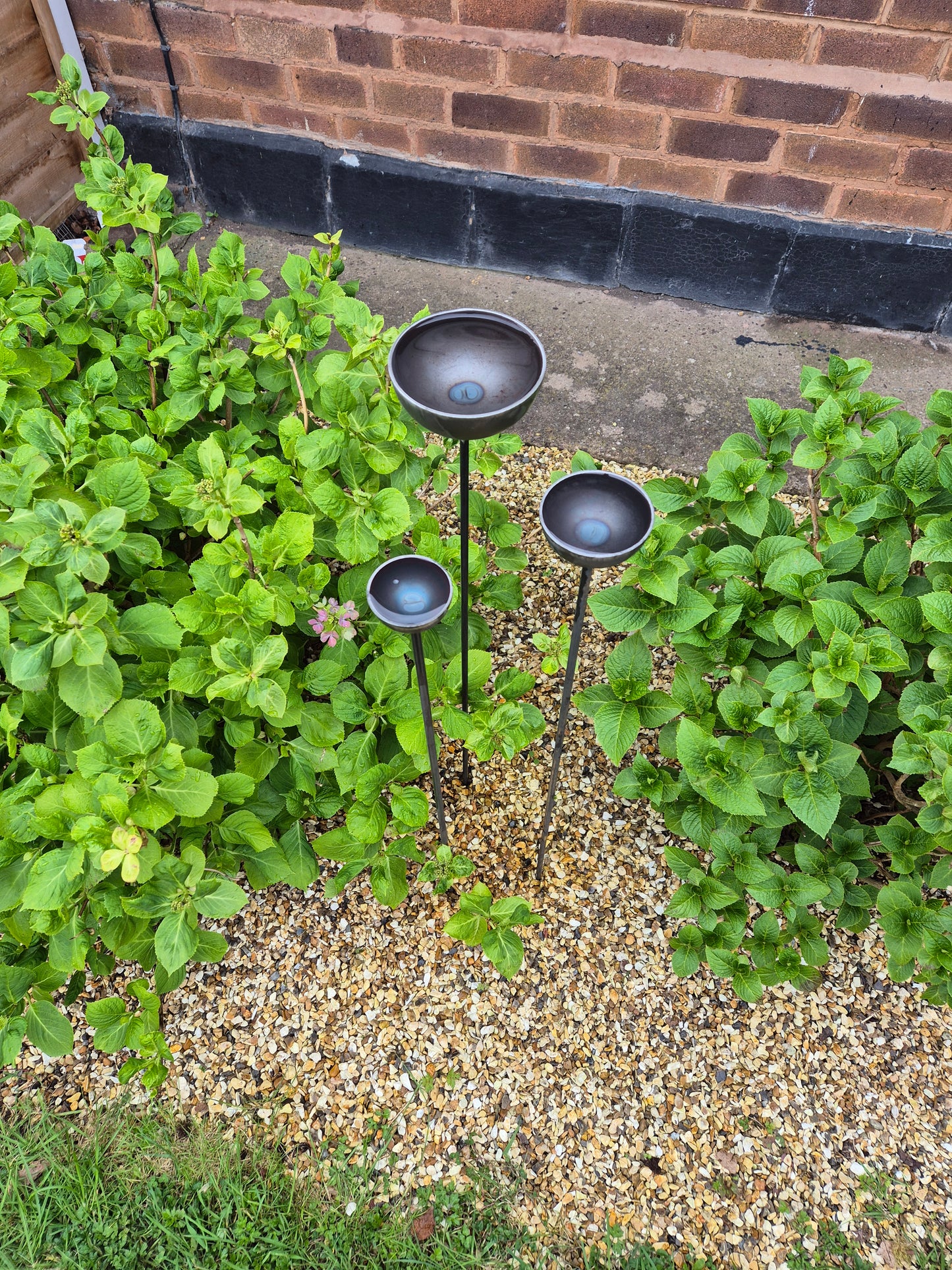 Rain Catcher Water Feature | Rusty Metal Garden Plant Support Ornament | Bird Feeder Bath