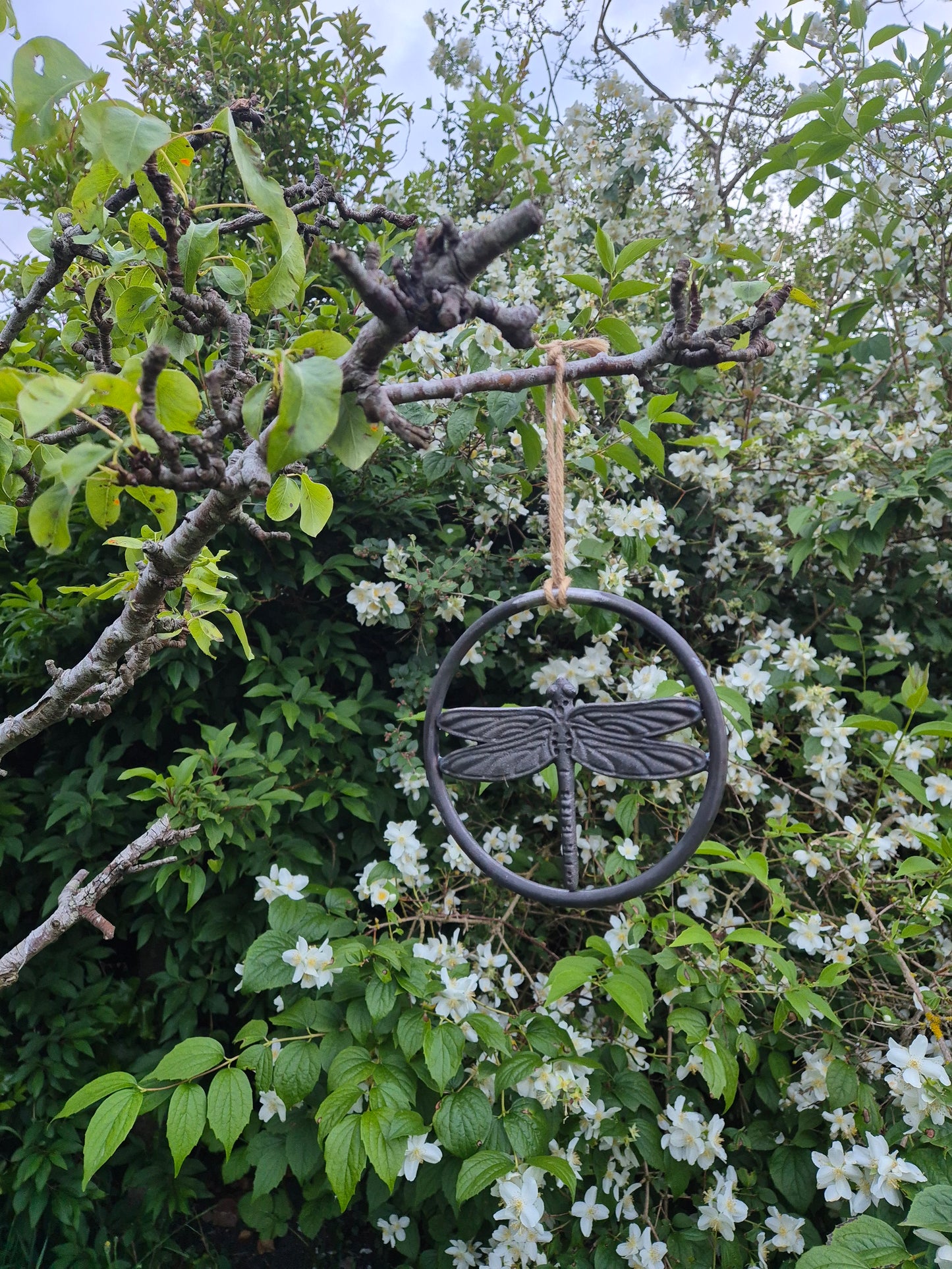 Hanging Metal Dragonfly Ring | Garden Wall Art | Tree Decoration | Rustic Outdoor Hanging Ornament