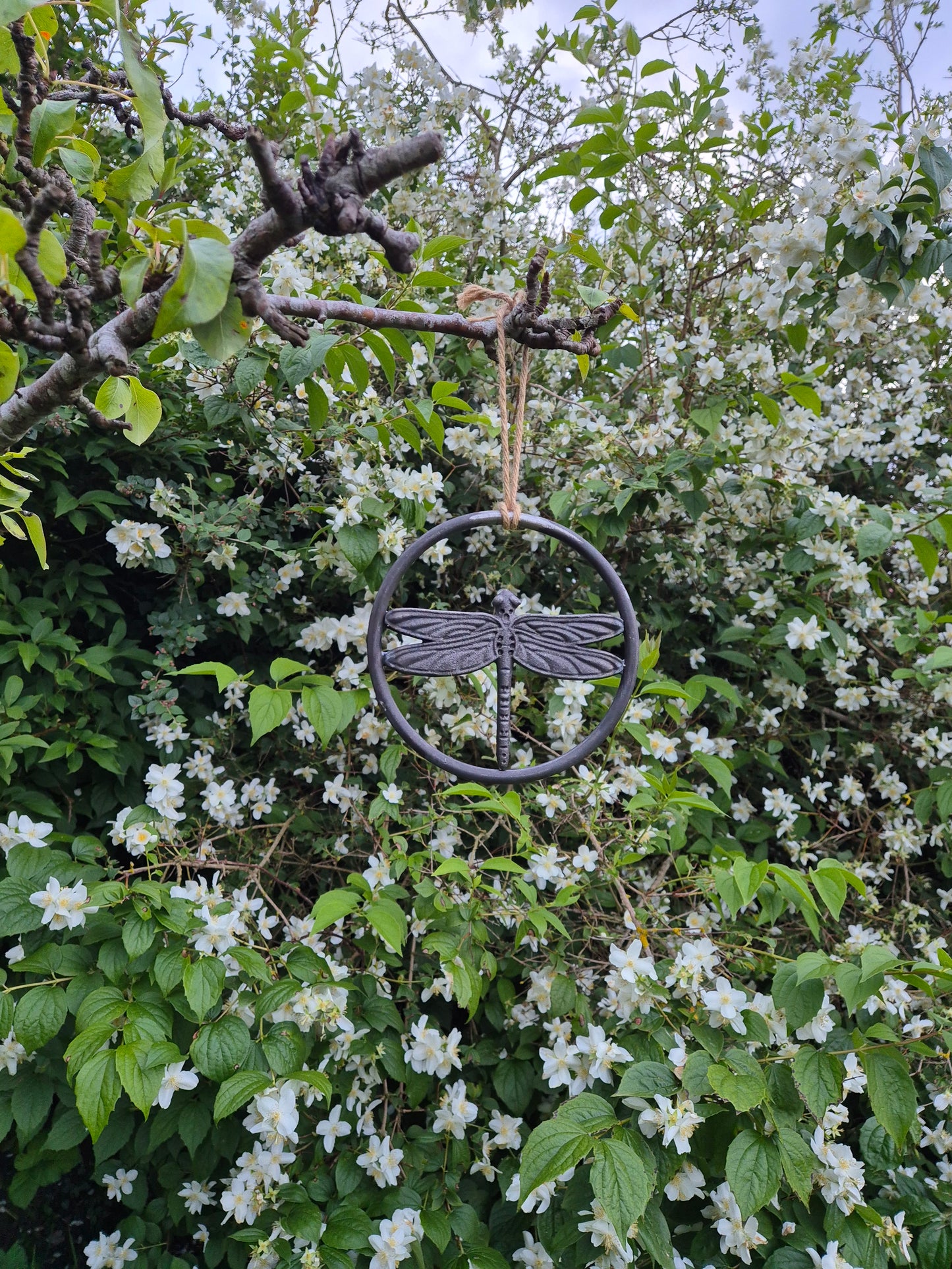 Hanging Metal Dragonfly Ring | Garden Wall Art | Tree Decoration | Rustic Outdoor Hanging Ornament