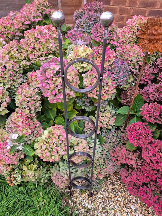 Ball top plant climber support with rings set of 3