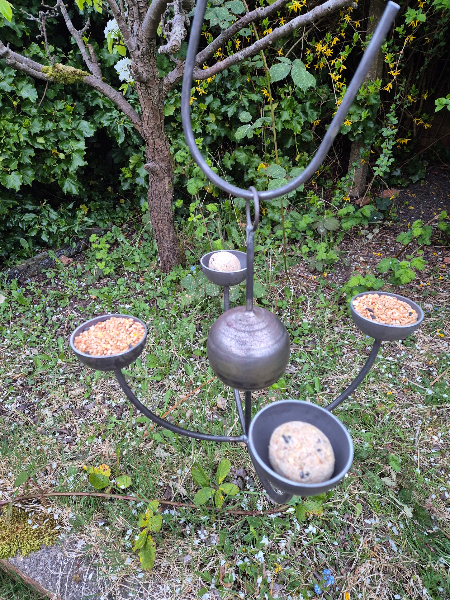 Metal Hanging Bird Feeder | Tree Hanging Bird Bath | Rusty Garden Ornament | Bird Feeding Station