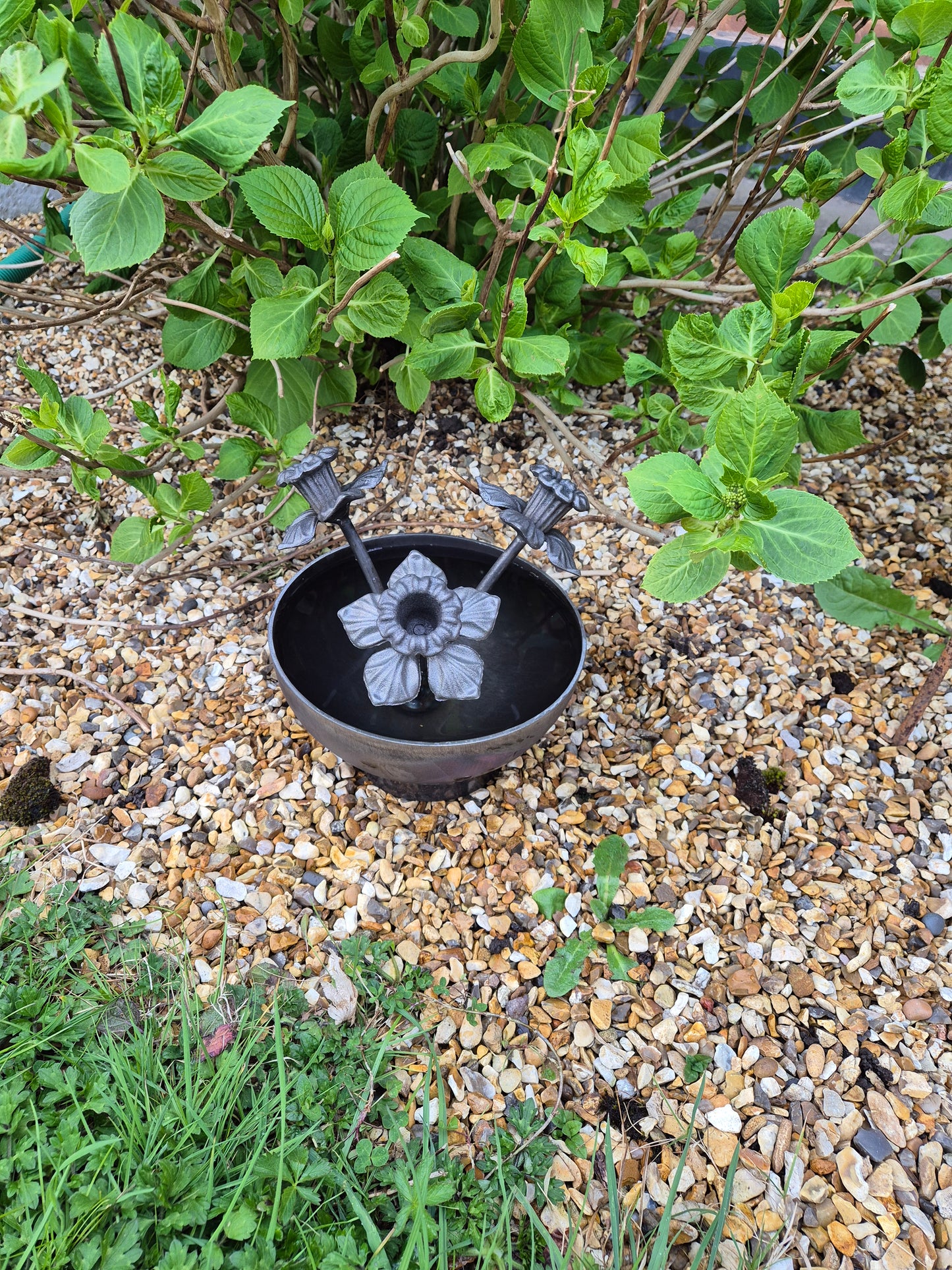Mini Wildlife Pond With Daffodils | Garden Water Feature For Birds and Bees | Rustic Mini Pond | Outdoor Habitat For Wildlife