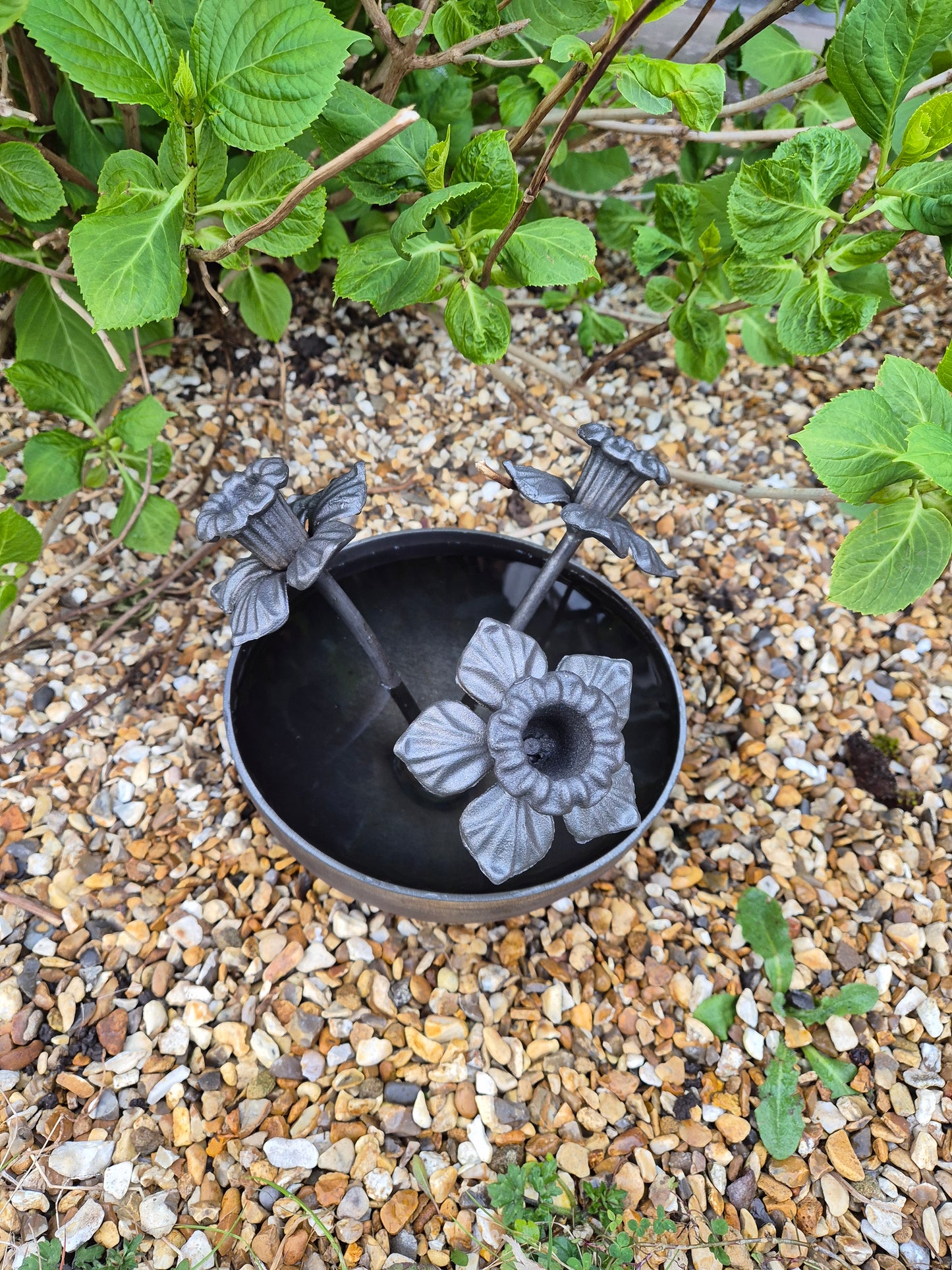 Mini Wildlife Pond With Daffodils | Garden Water Feature For Birds and Bees | Rustic Mini Pond | Outdoor Habitat For Wildlife