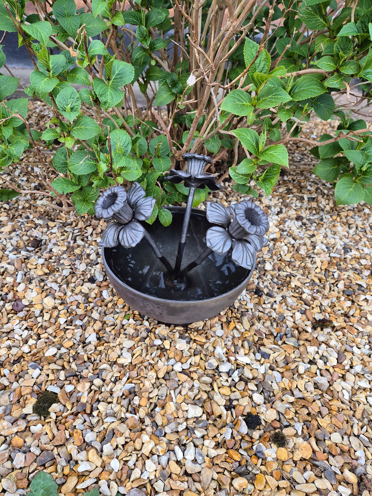 Mini Wildlife Pond With Daffodils | Garden Water Feature For Birds and Bees | Rustic Mini Pond | Outdoor Habitat For Wildlife