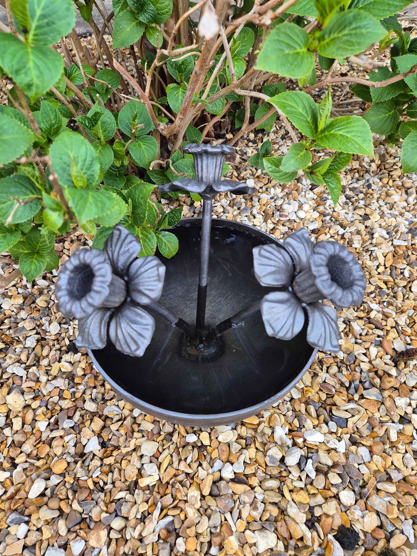Mini Wildlife Pond With Daffodils | Garden Water Feature For Birds and Bees | Rustic Mini Pond | Outdoor Habitat For Wildlife