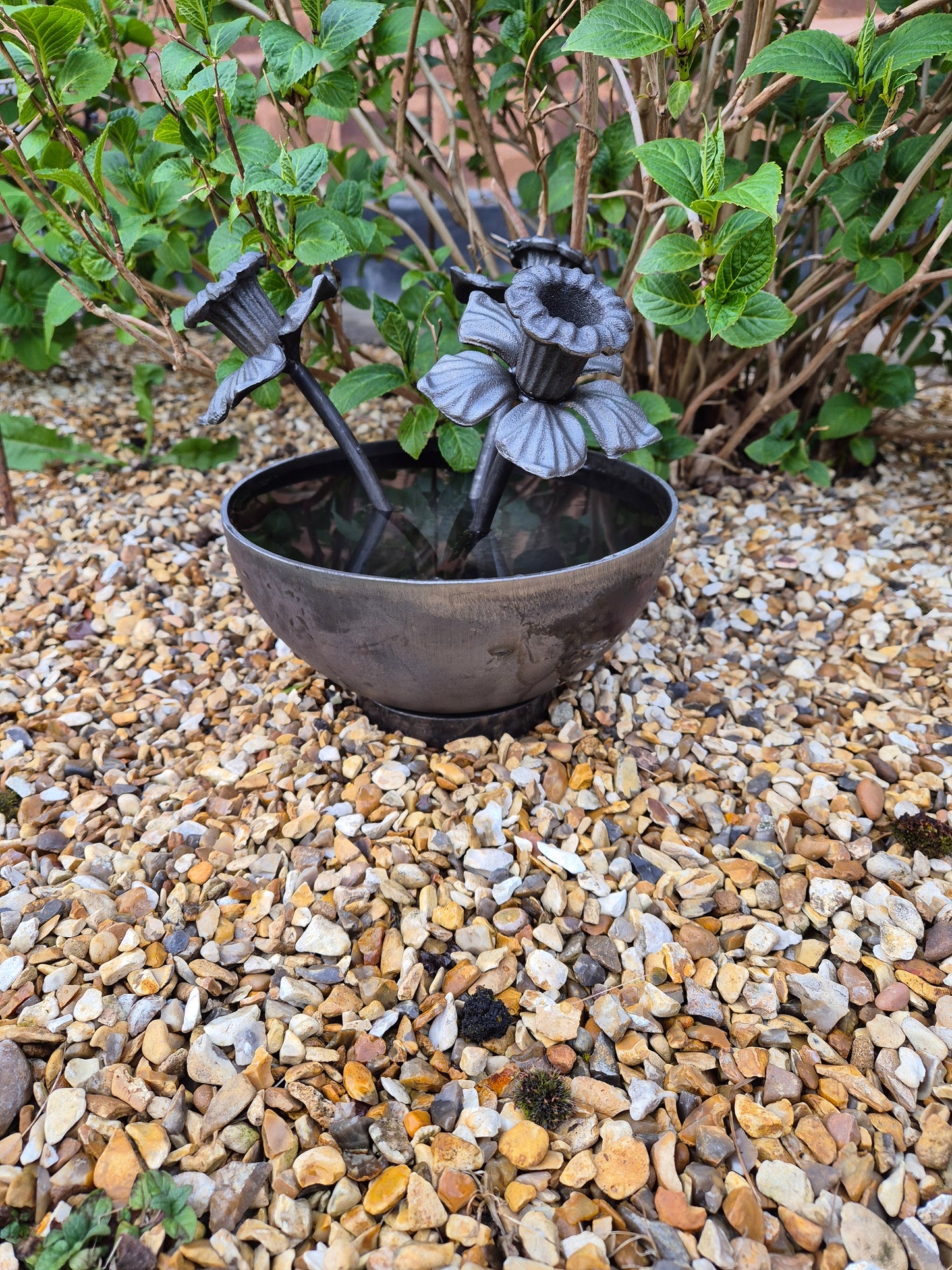Mini Wildlife Pond With Daffodils | Garden Water Feature For Birds and Bees | Rustic Mini Pond | Outdoor Habitat For Wildlife