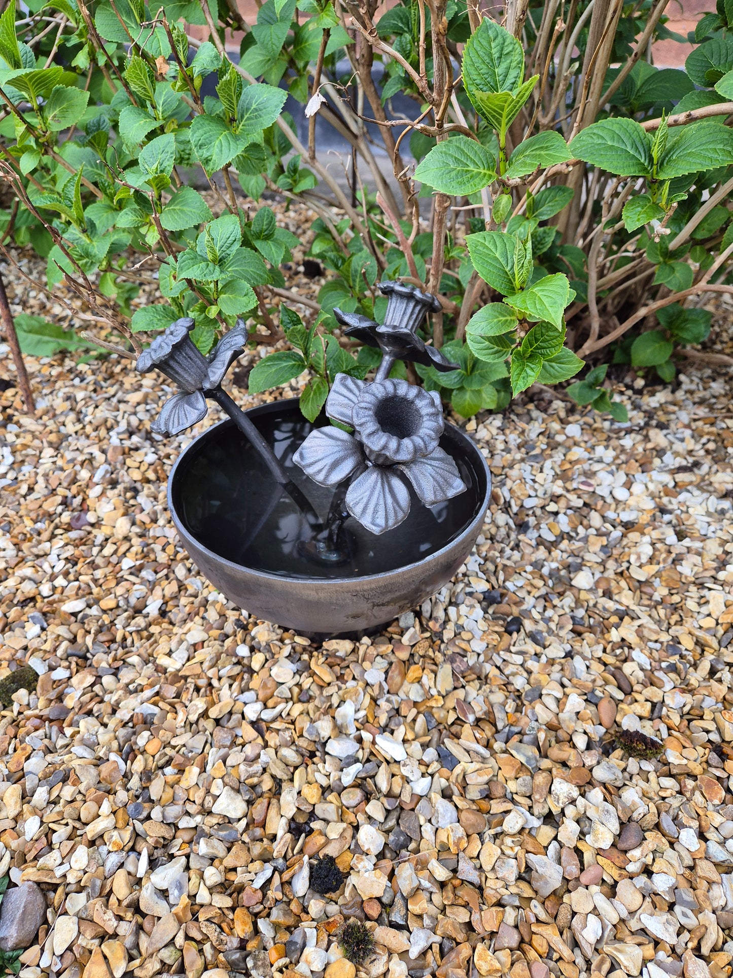 Mini Wildlife Pond With Daffodils | Garden Water Feature For Birds and Bees | Rustic Mini Pond | Outdoor Habitat For Wildlife