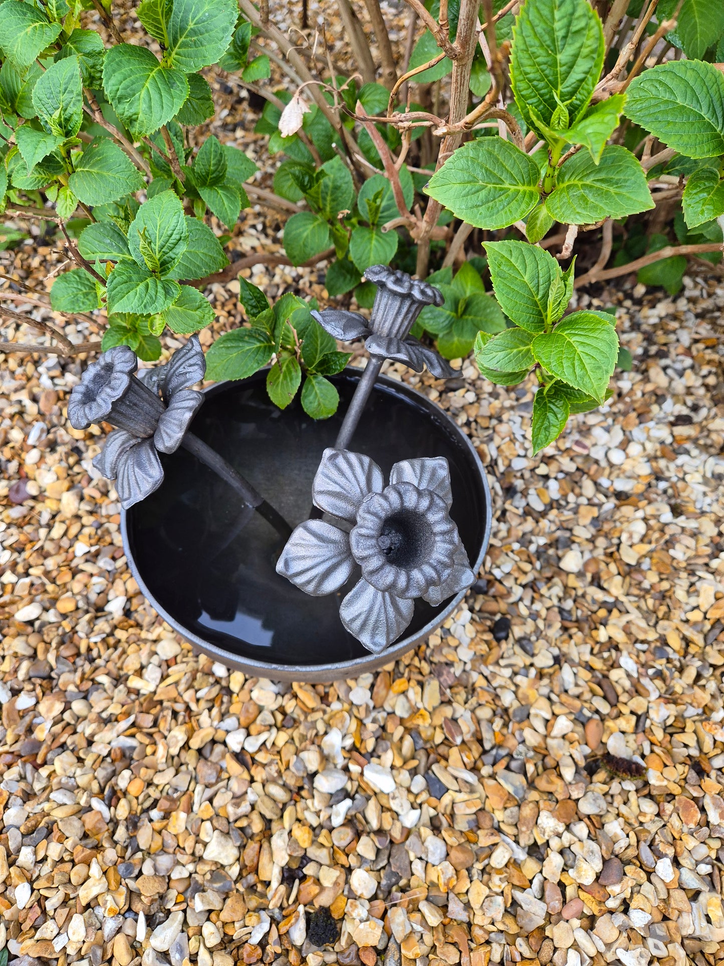 Mini Wildlife Pond With Daffodils | Garden Water Feature For Birds and Bees | Rustic Mini Pond | Outdoor Habitat For Wildlife