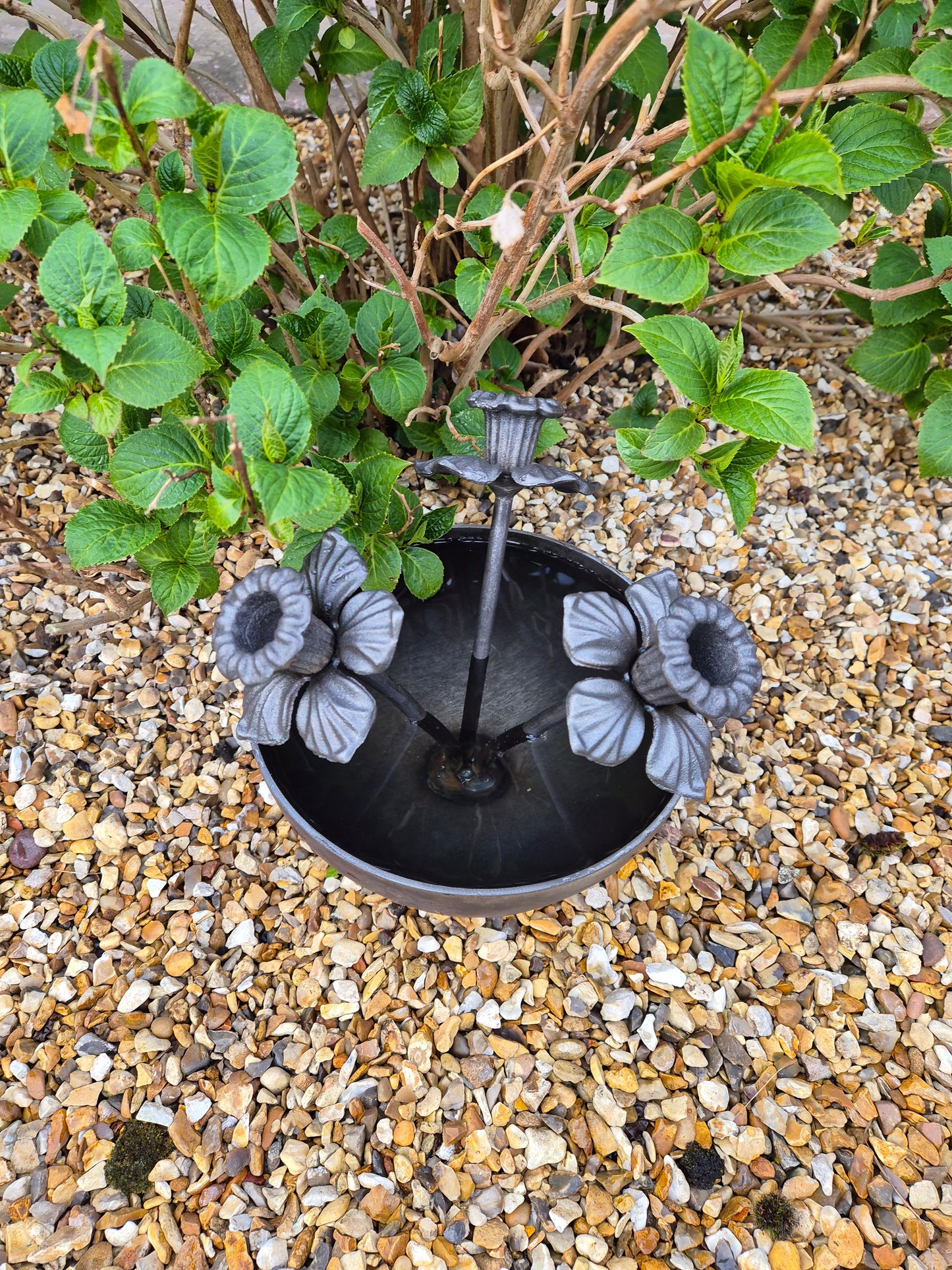 Mini Wildlife Pond With Daffodils | Garden Water Feature For Birds and Bees | Rustic Mini Pond | Outdoor Habitat For Wildlife