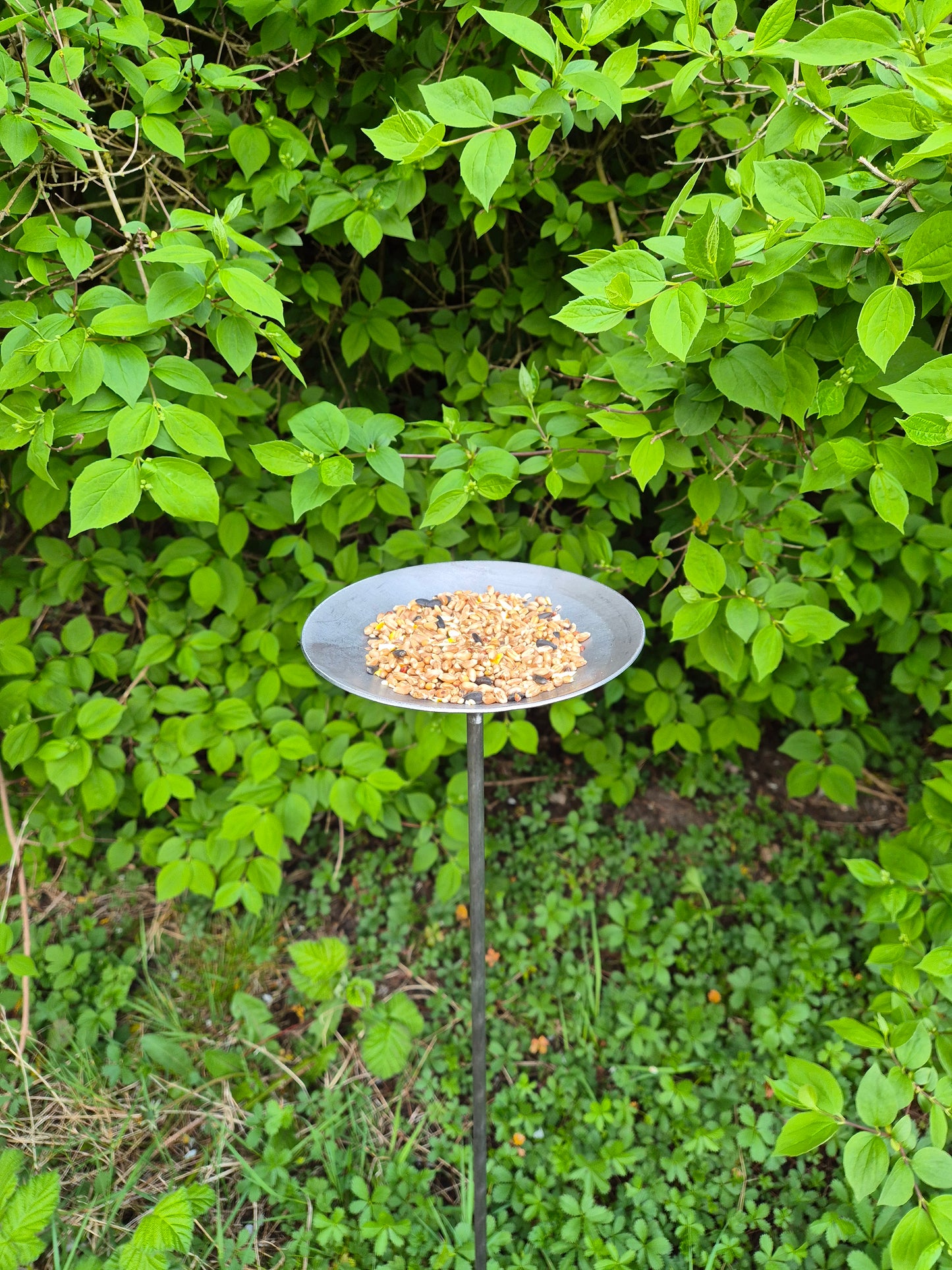 Handmade Metal Bird Feeder | Rustic Garden Decor | Bird Feeding Station for Songbirds