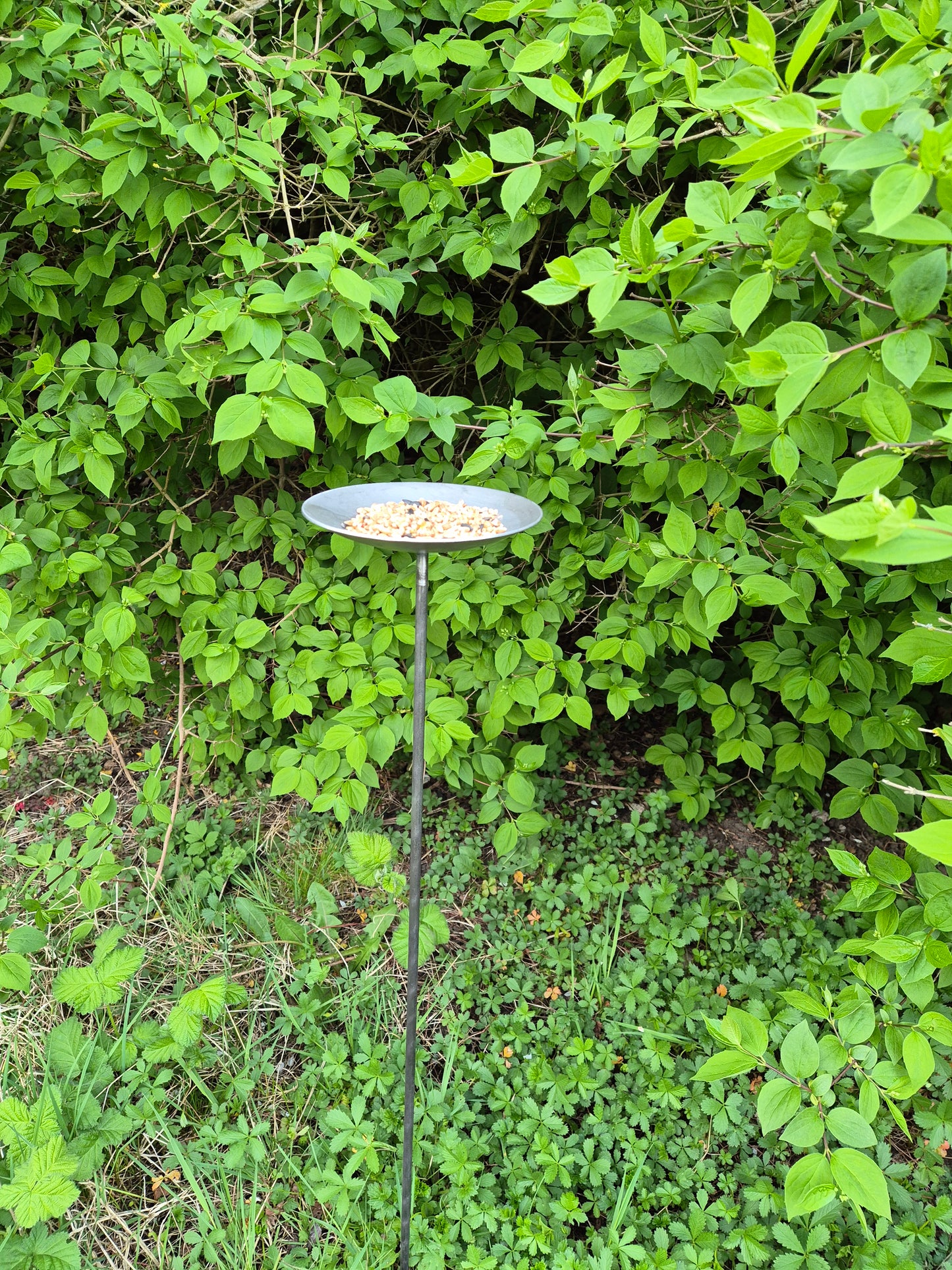 Handmade Metal Bird Feeder | Rustic Garden Decor | Bird Feeding Station for Songbirds