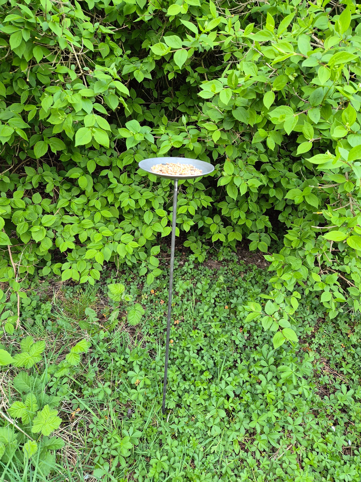 Handmade Metal Bird Feeder | Rustic Garden Decor | Bird Feeding Station for Songbirds