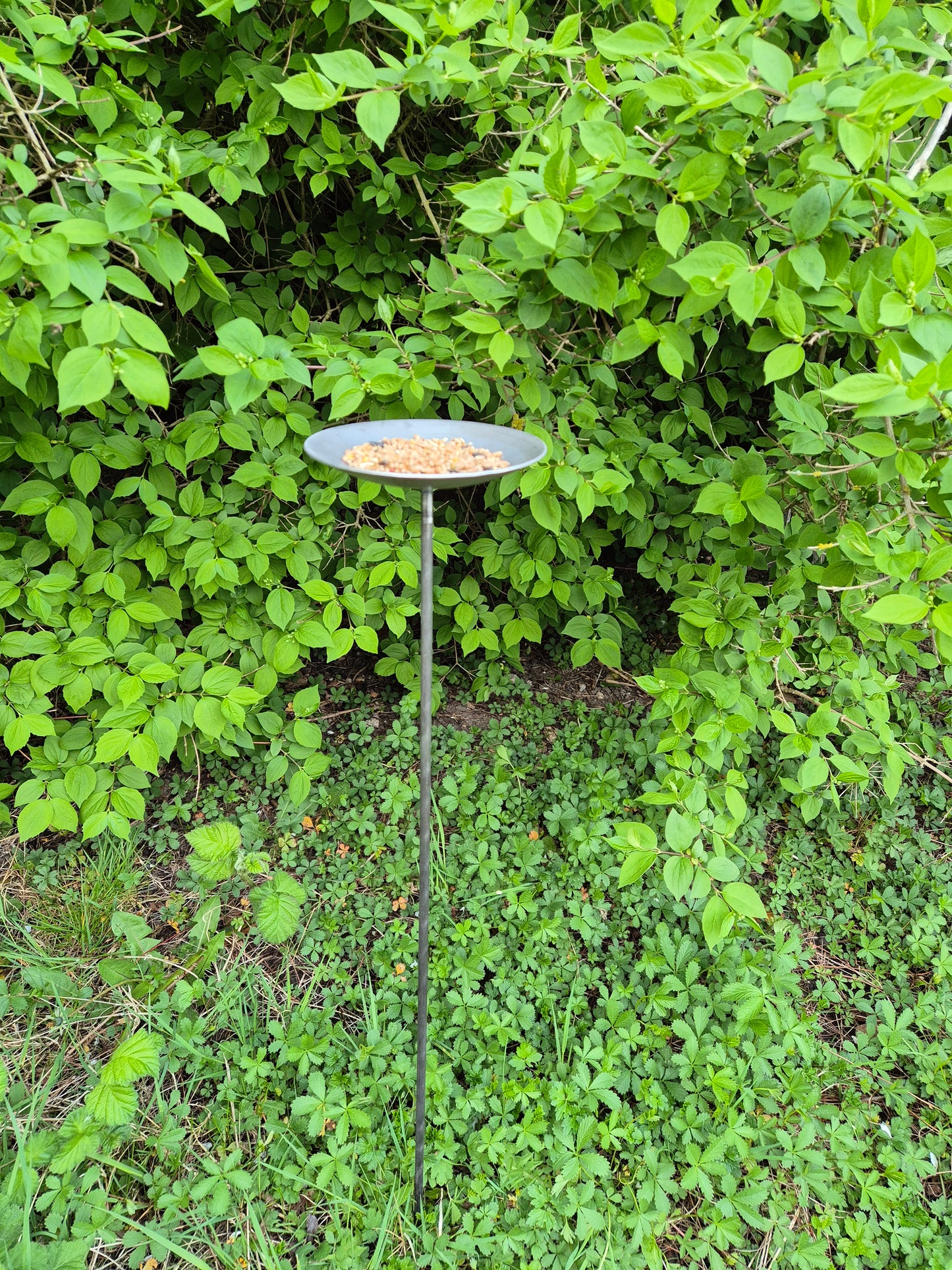 Handmade Metal Bird Feeder | Rustic Garden Decor | Bird Feeding Station for Songbirds
