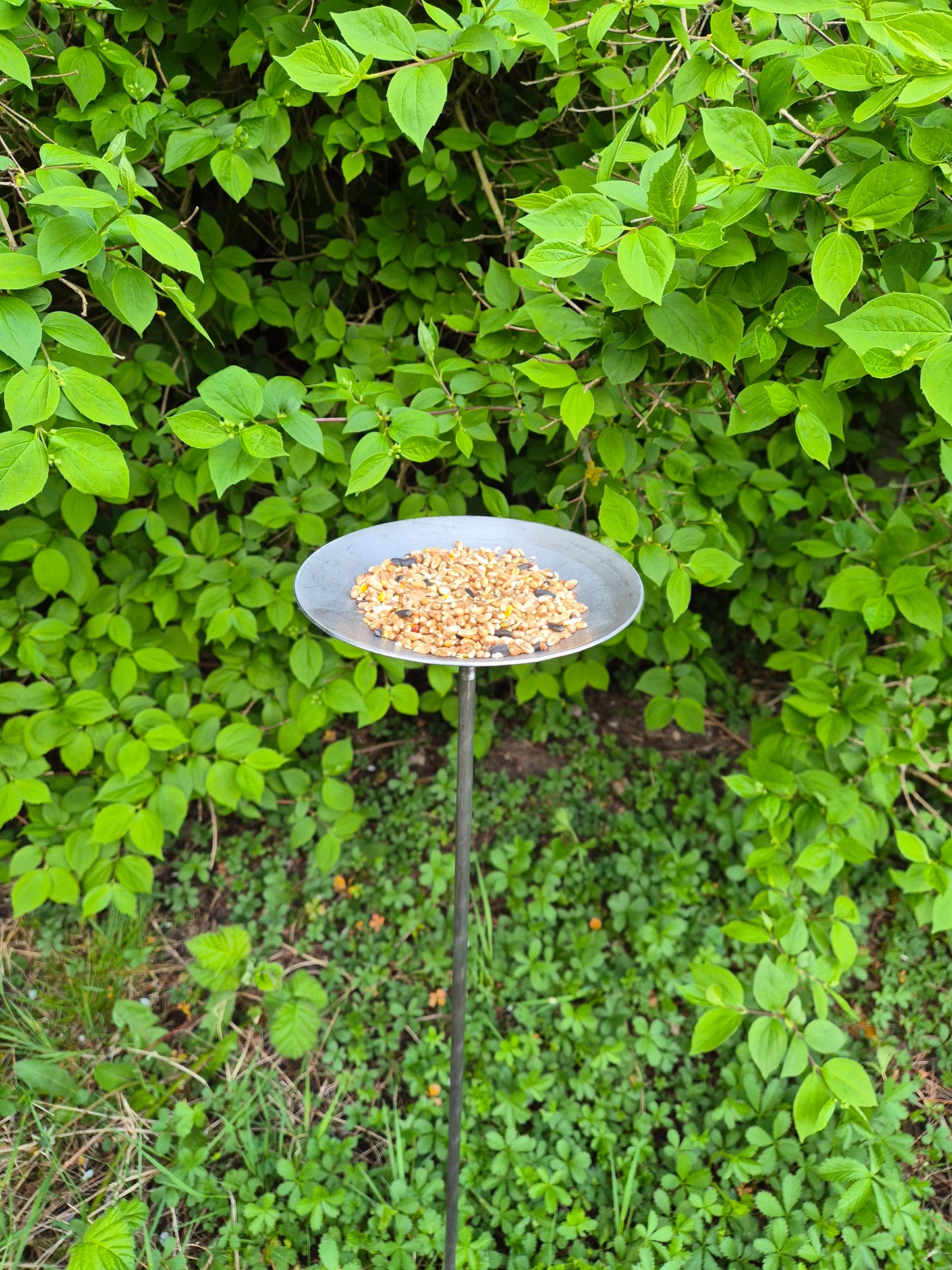 Handmade Metal Bird Feeder | Rustic Garden Decor | Bird Feeding Station for Songbirds