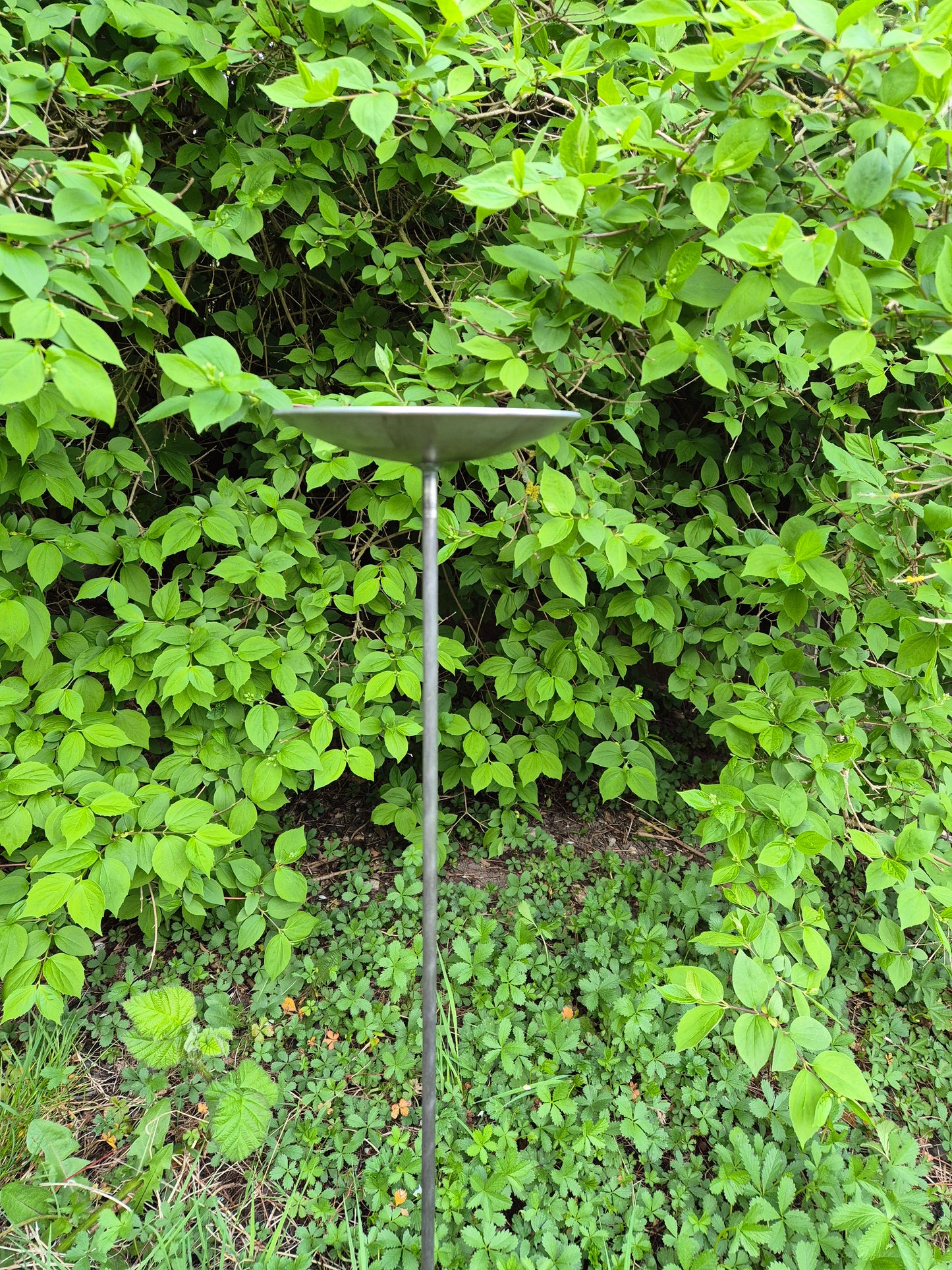 Handmade Metal Bird Feeder | Rustic Garden Decor | Bird Feeding Station for Songbirds