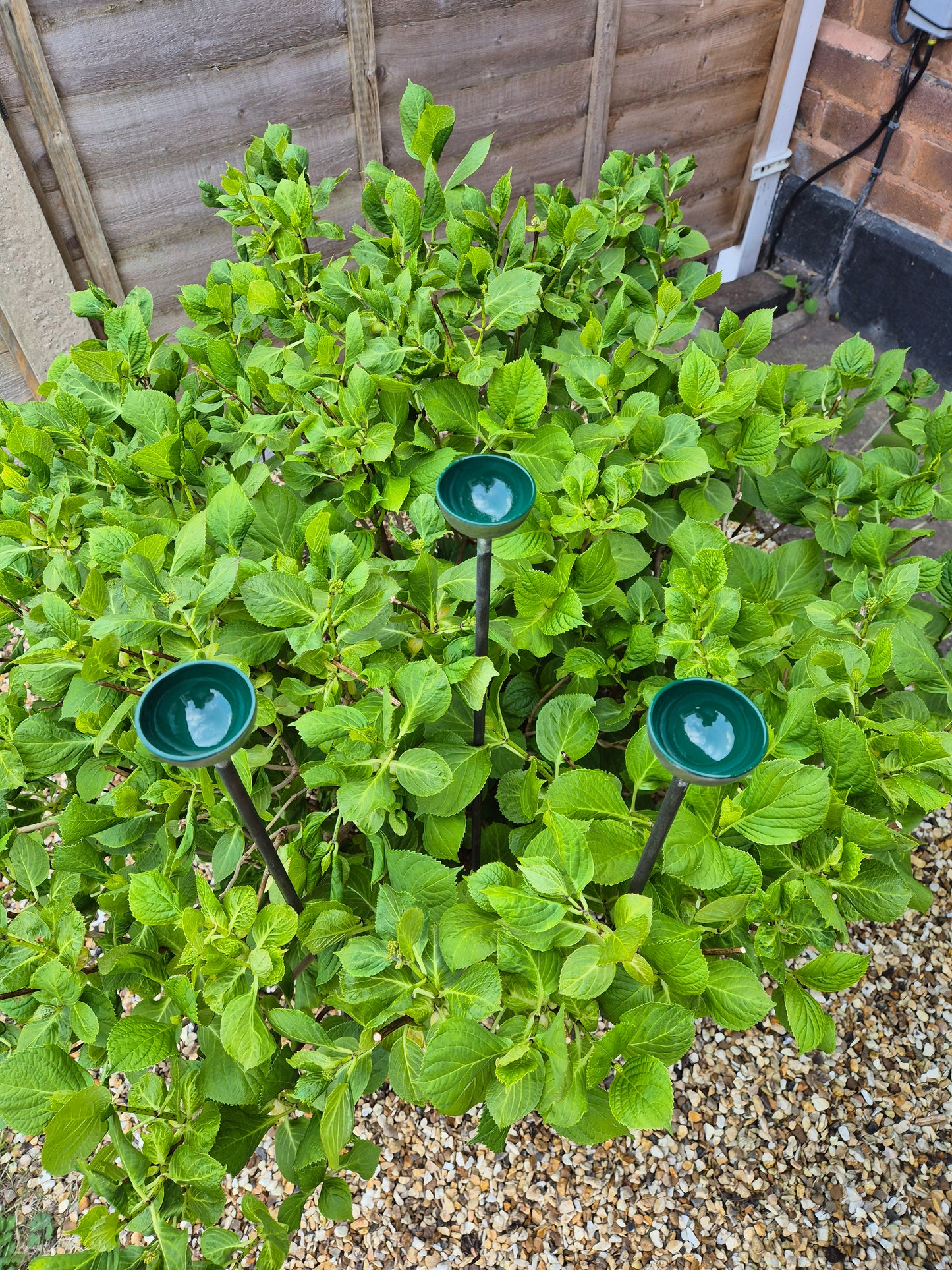 Bee Water Stations | Bumblebee Feeder Cups | Bee Waterer