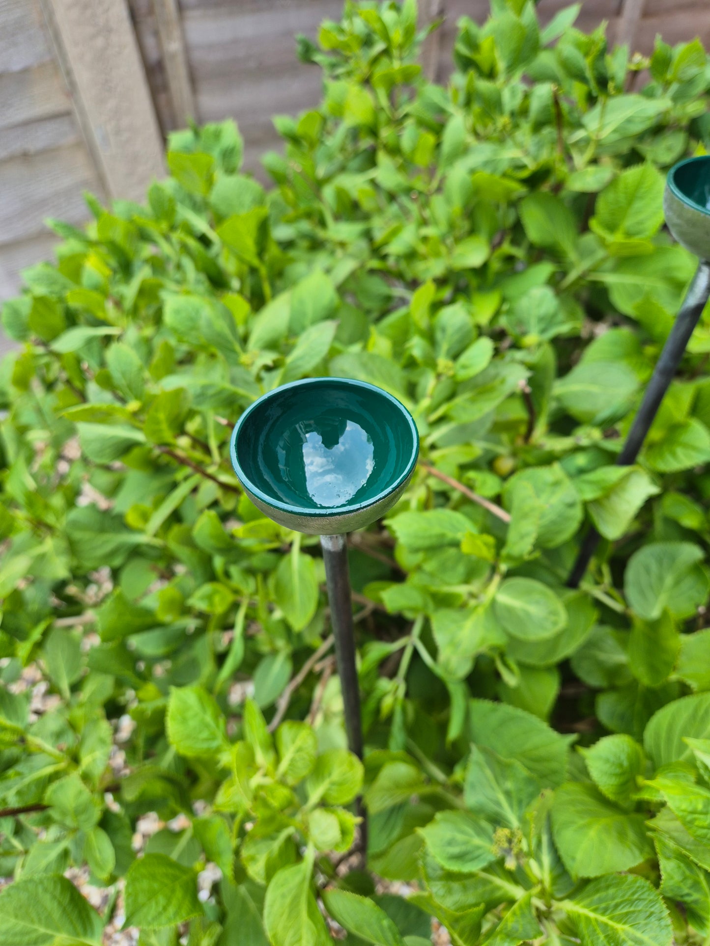 Bee Water Stations | Bumblebee Feeder Cups | Bee Waterer