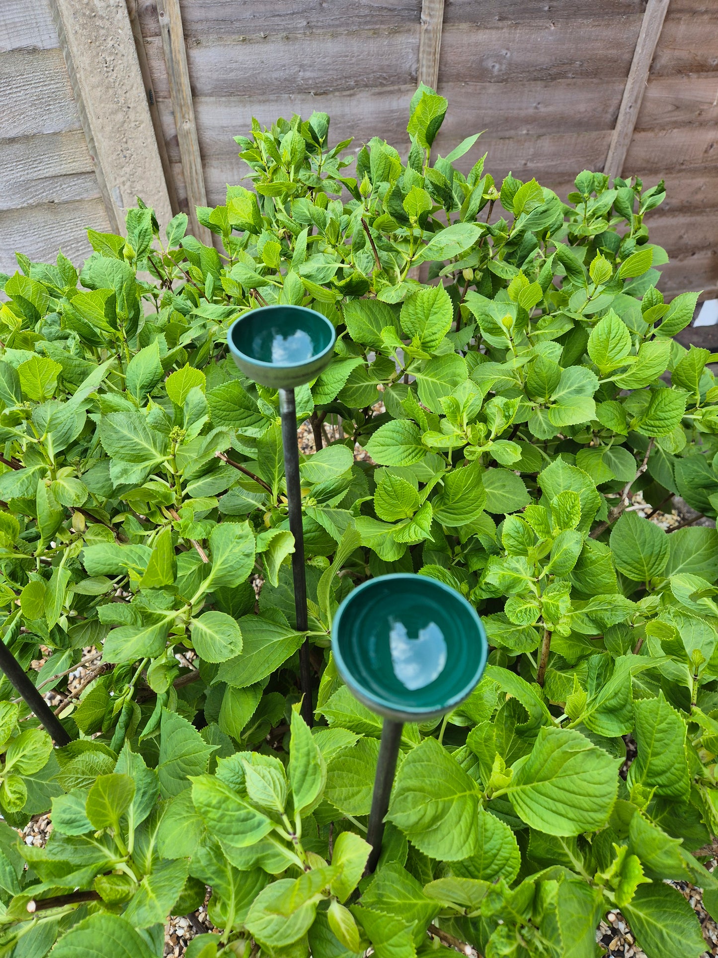 Bee Water Stations | Bumblebee Feeder Cups | Bee Waterer