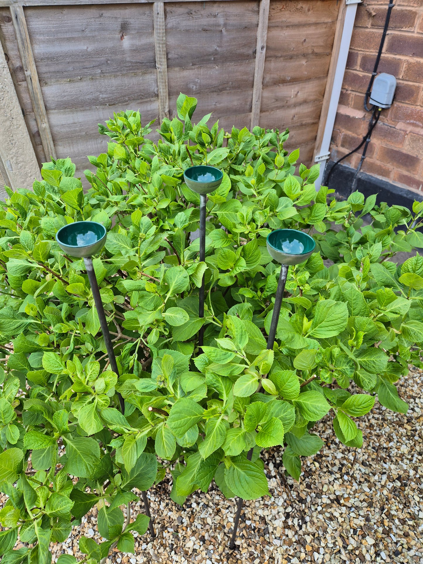 Bee Water Stations | Bumblebee Feeder Cups | Bee Waterer