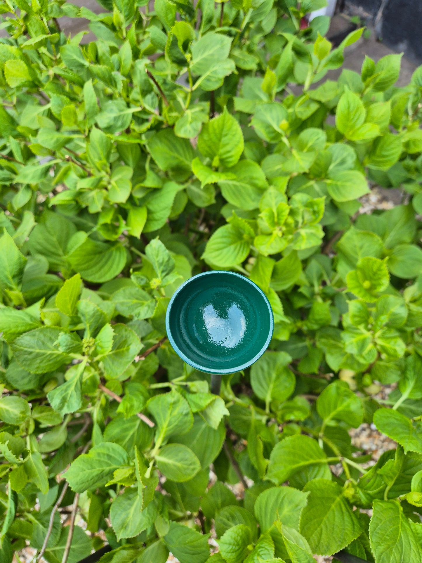 Bee Water Stations | Bumblebee Feeder Cups | Bee Waterer