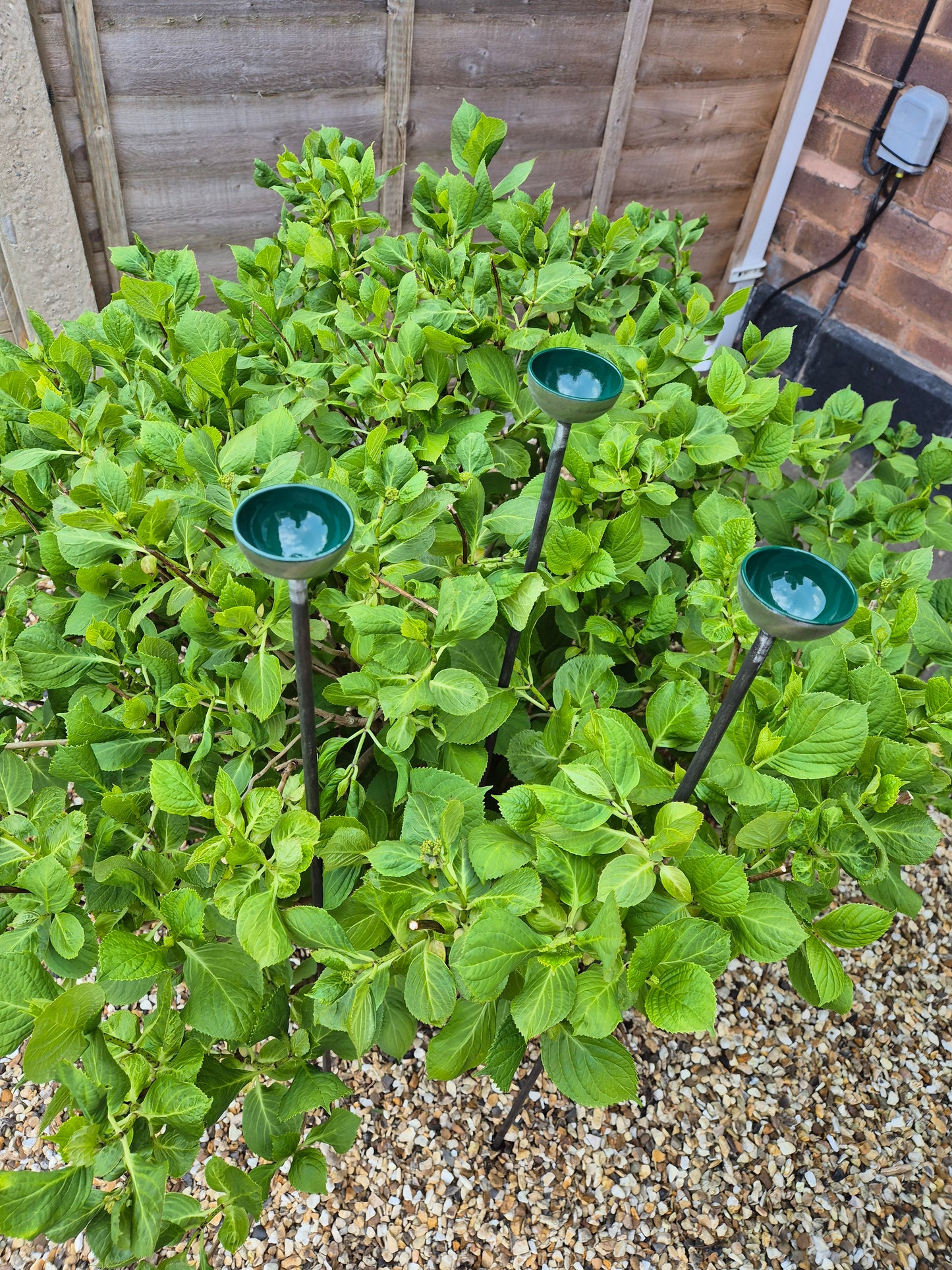 Bee Water Stations | Bumblebee Feeder Cups | Bee Waterer