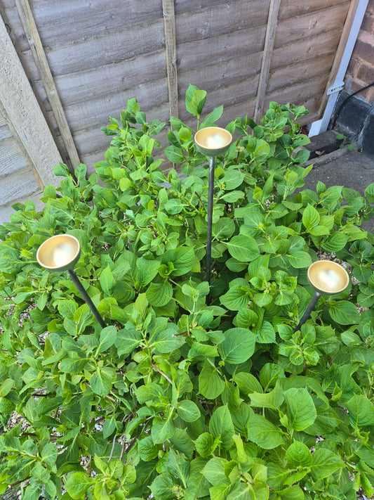 Bee Water Stations | Bumblebee Feeder Cups | Bee Waterer