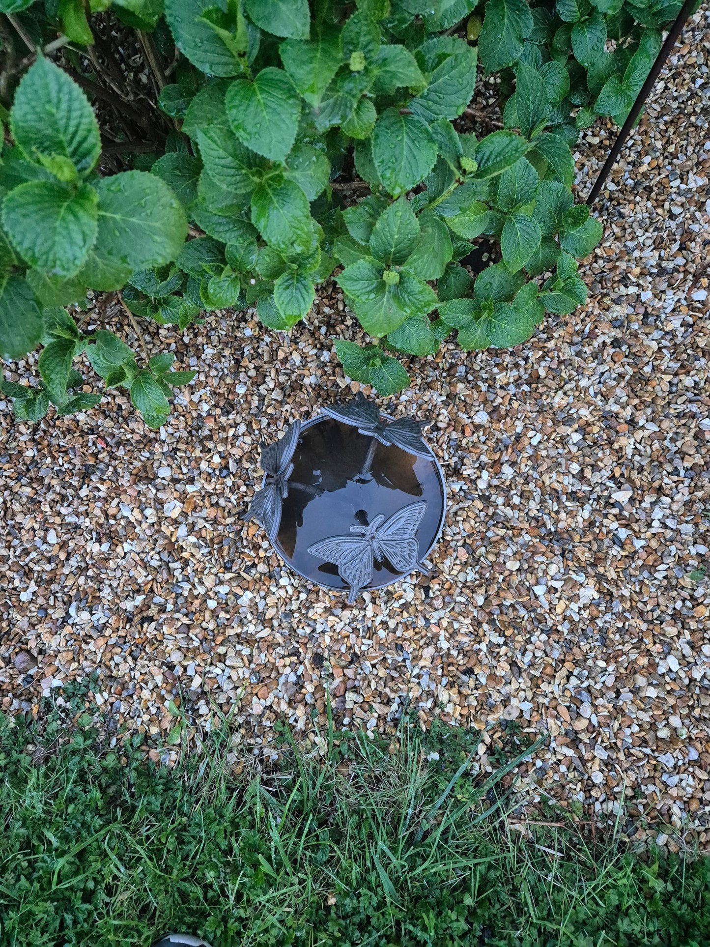 Mini Wildlife Pond With Butterflies | Garden Water Feature Ornament | Rustic Mini Butterfly Pond | Outdoor Habitat For Wildlife