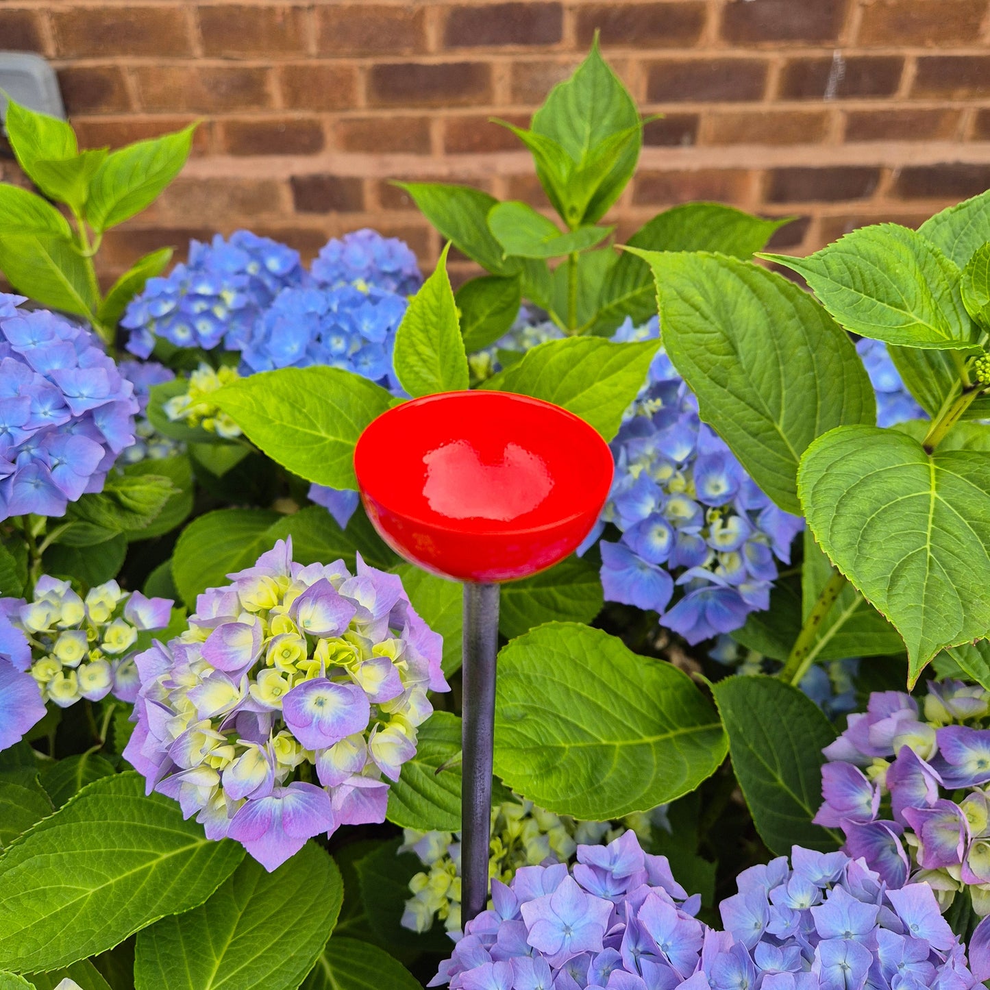 Bee Water Stations | Bumblebee Feeder Cups | Bee Waterer