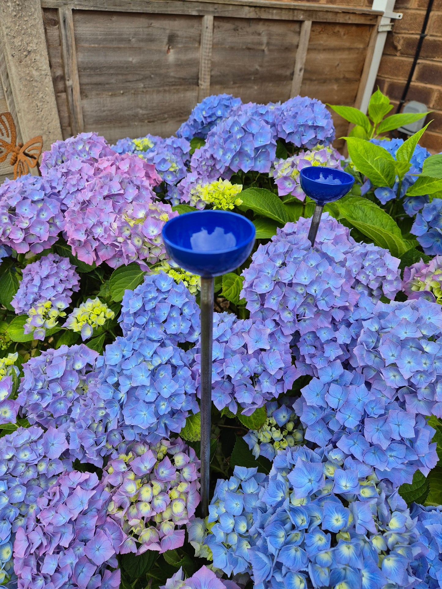 Bee Water Stations | Bumblebee Feeder Cups | Bee Waterer