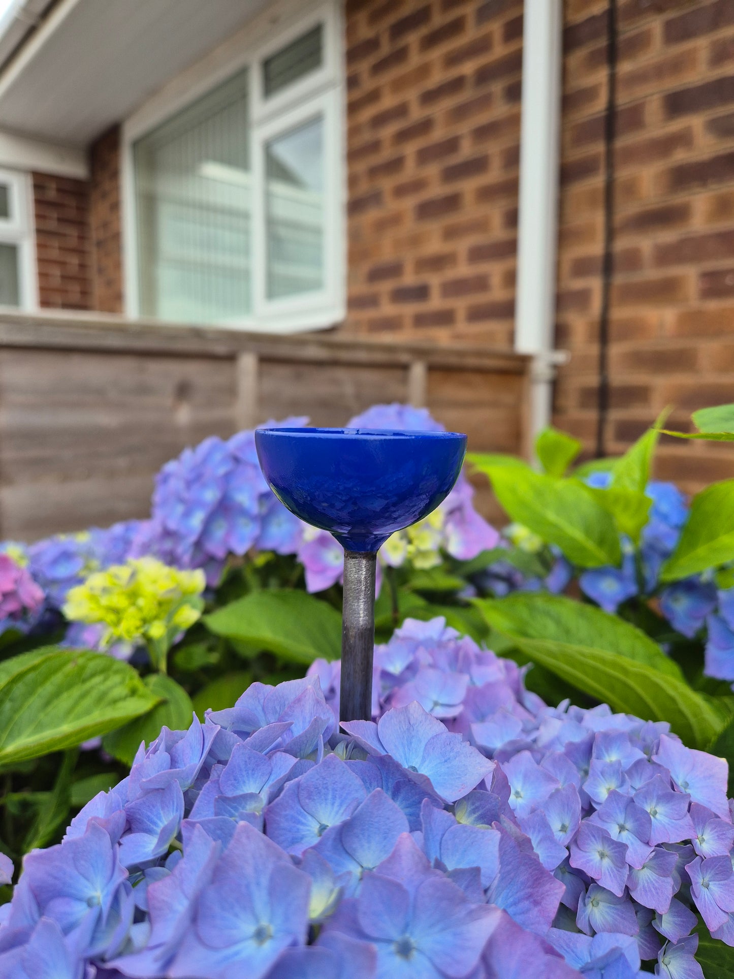 Bee Water Stations | Bumblebee Feeder Cups | Bee Waterer