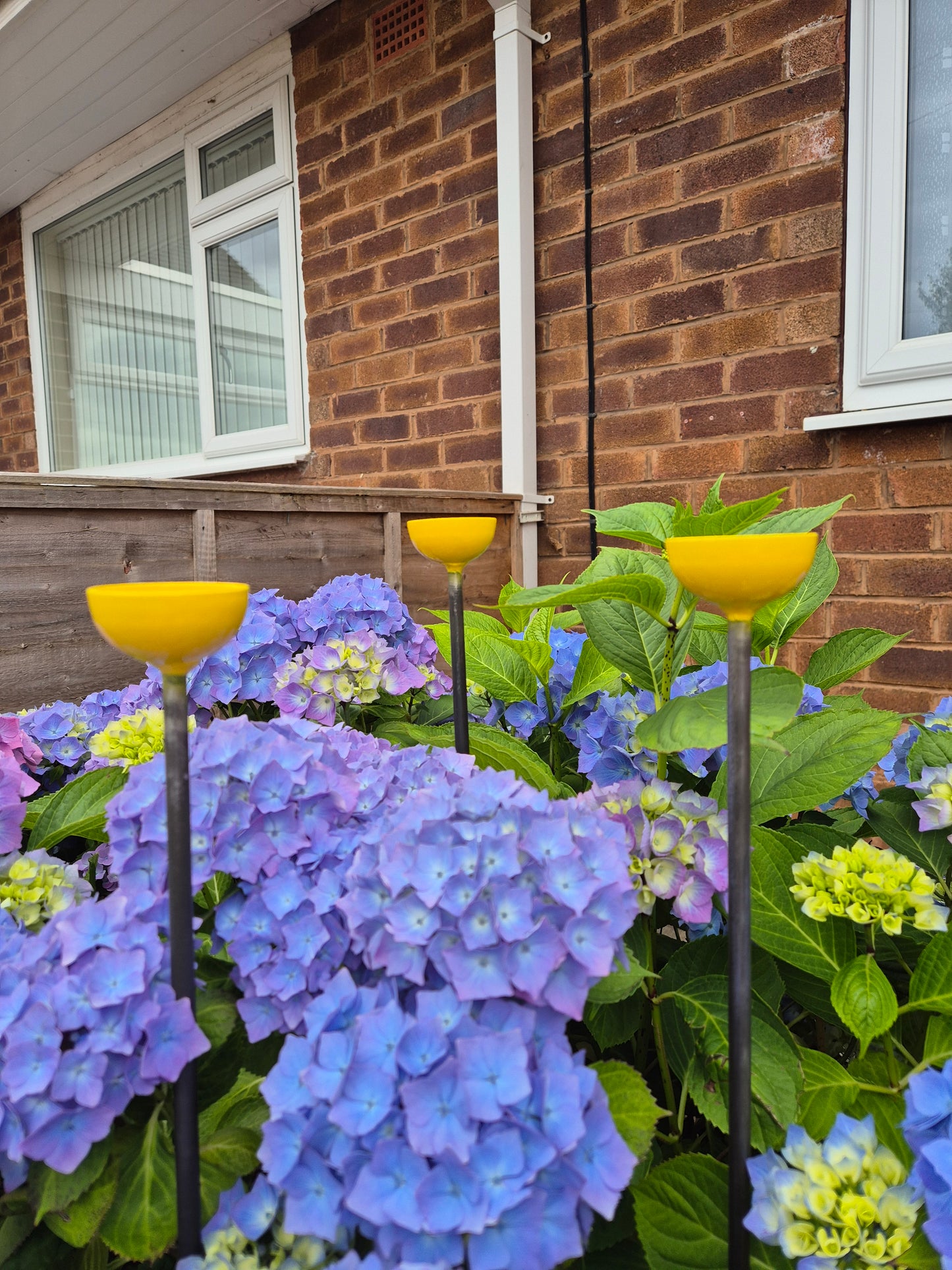 Bee Water Stations | Bumblebee Feeder Cups | Bee Waterer