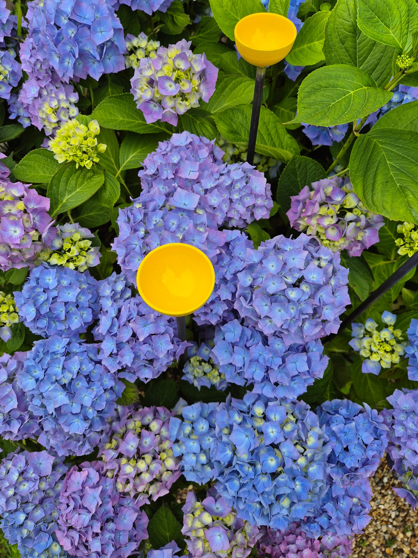 Bee Water Stations | Bumblebee Feeder Cups | Bee Waterer