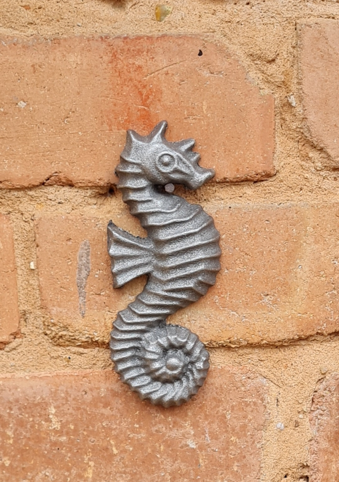 Rustic metal cast iron garden seahorse ornament